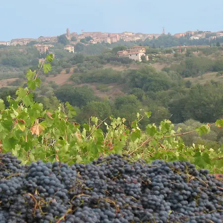 Agriturismo La Torretta Costalpino