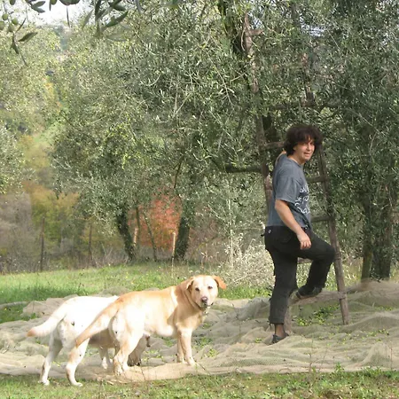 Farma La Torretta