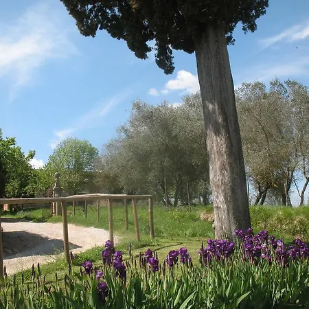 Agriturismo La Torretta * Costalpino