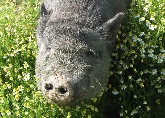 La Torretta シエーナ