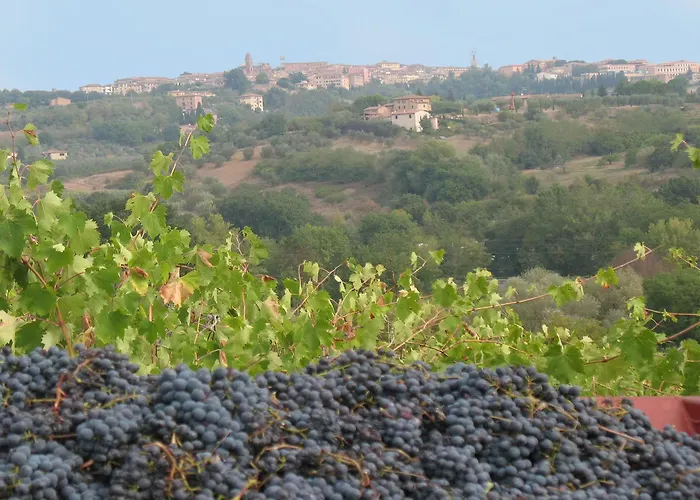 Agriturismo La Torretta Siena