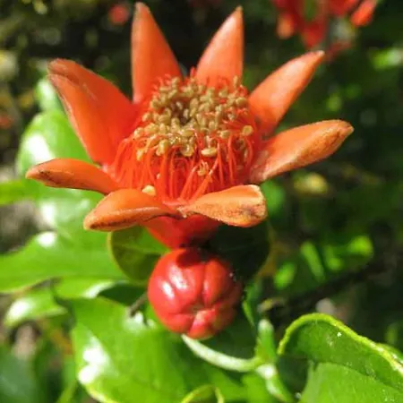 팜스테이 La Torretta *