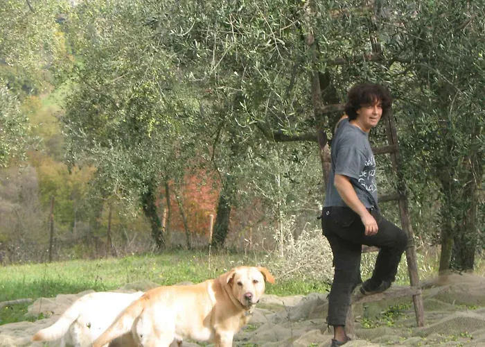 Agroturismo La Torretta