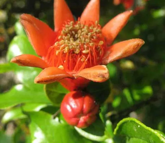 Agroturismo La Torretta *